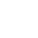 Verification Icon Verification Icon