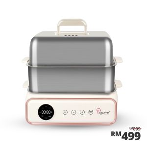 Electric 2-tier Stainless Steel Multi Food Steamer