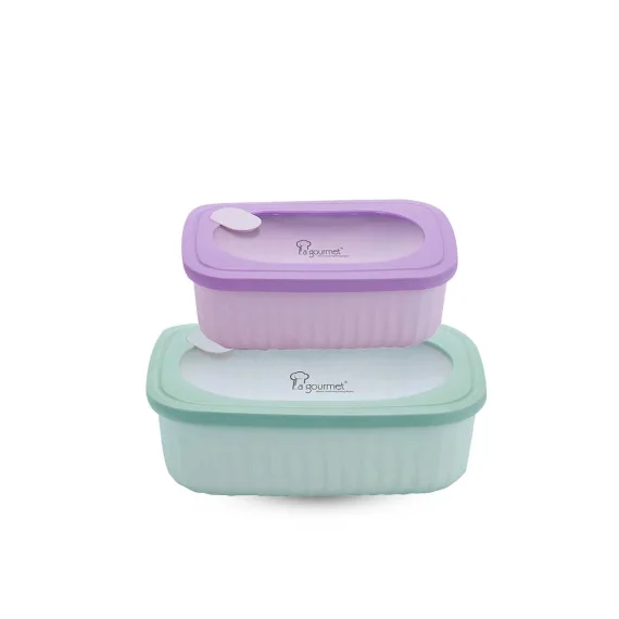 2024.12.16 Snack N’ Sip 1600ml + 380ml Plastic Rectangular Lunch Box Set – Green & Purple No Price