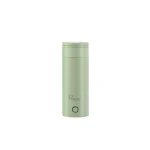 2026.01.15 Electric Travel Kettle Mint Cream