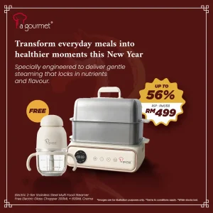 Electric 2-tier Stainless Steel Multi Food Steamer