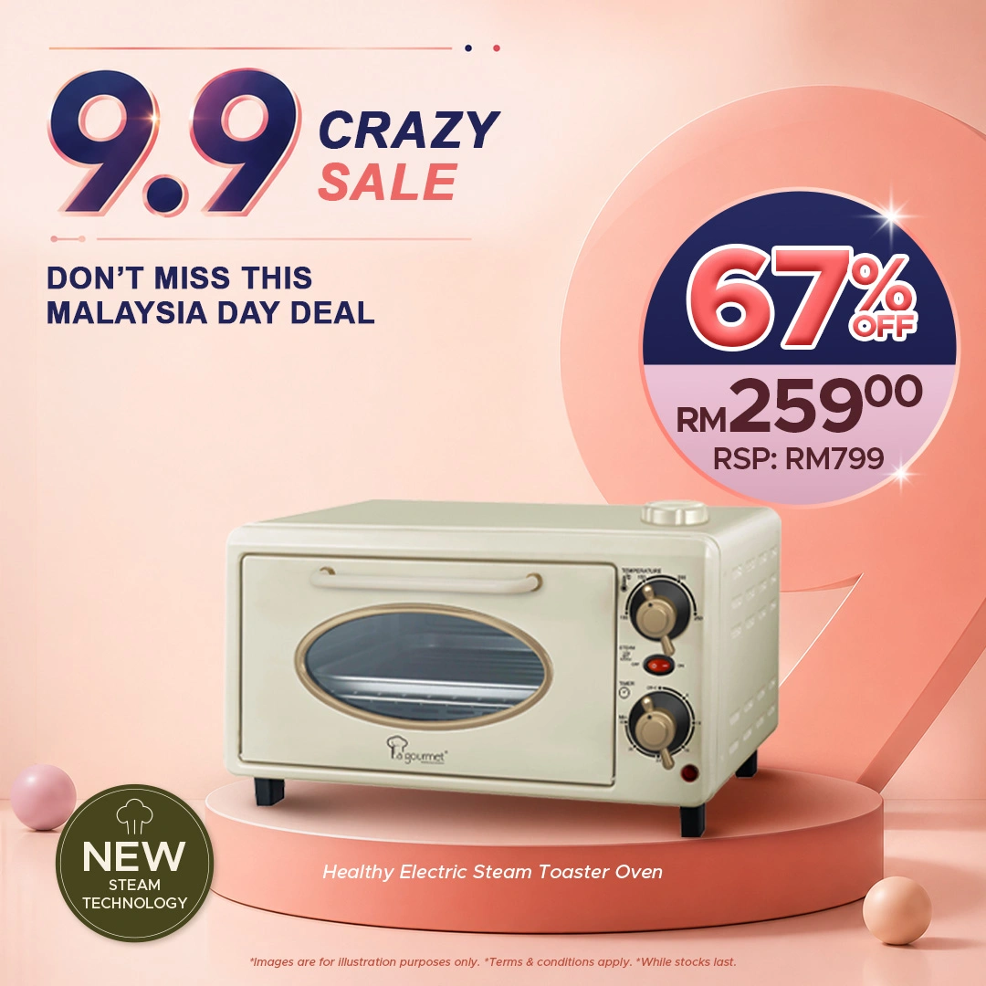 Healthy Electric Steam Toaster Oven
