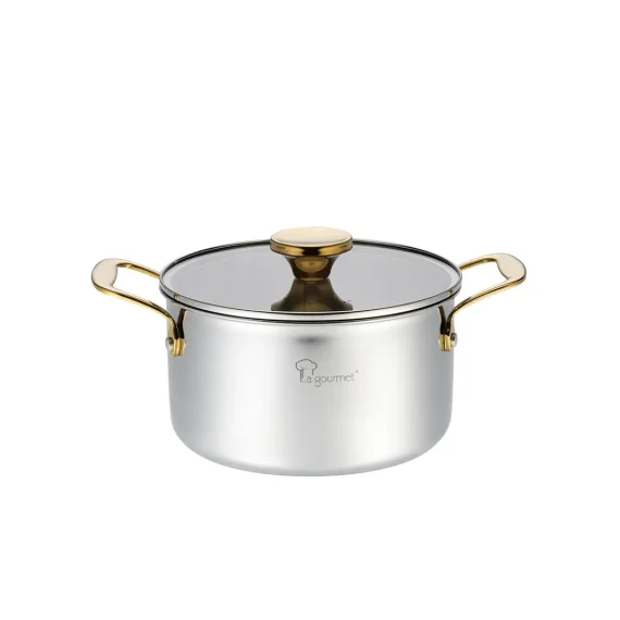 2026.03.03 Aureon 20×11.5cm Triply casserole wlid 03