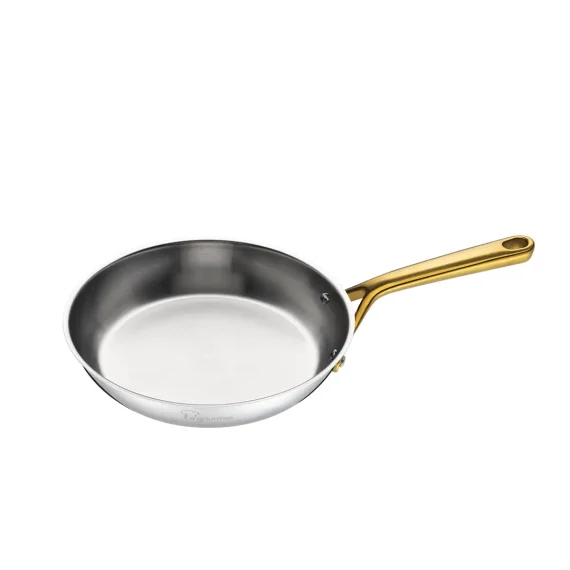2026.03.03 Aureon 20×5.5cm Triply frying pan 01